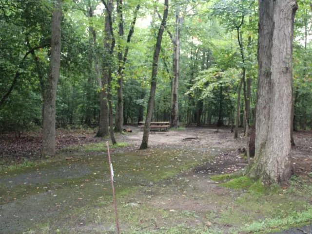 A15  A Loop  Greenbelt Park Maryland campground