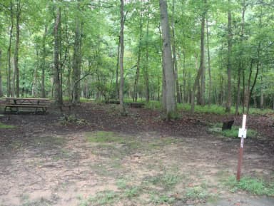 Greenbelt Park Campground Site 017