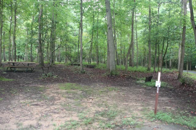 Greenbelt Park Campground Site 017