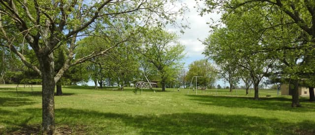 Site 20 in Arrow Rock Campground