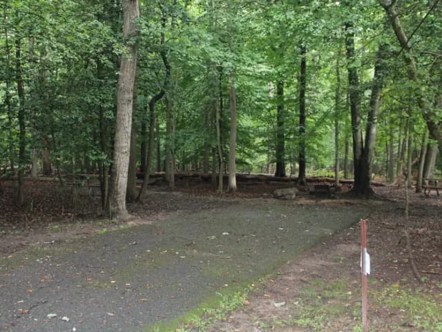 Greenbelt Park, Maryland Campground  Site 21