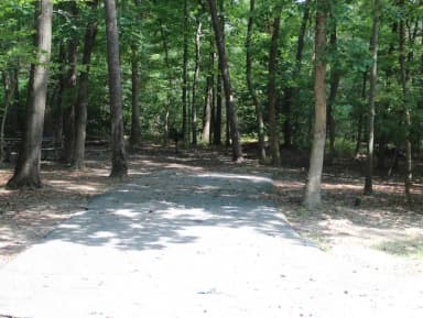 B Loop Site B 78 Greenbelt Park Maryland campground (Previously Site 79)