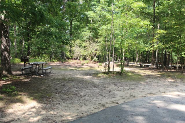 B Loop Site B 71 Greenbelt Park MD campground (Previously Site 72)