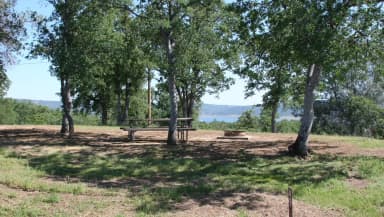 Acorn Sites 36-69 · Site 049 at Tuttletown Recreation Area