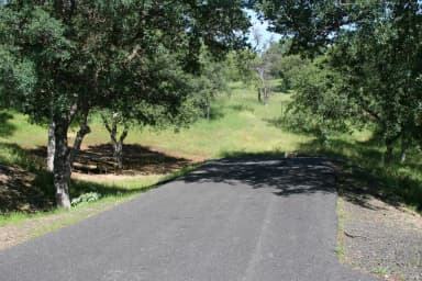 Acorn Sites 36-69 · Site 055 at Tuttletown Recreation Area
