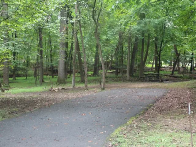Greenbelt Park Campground Site 115