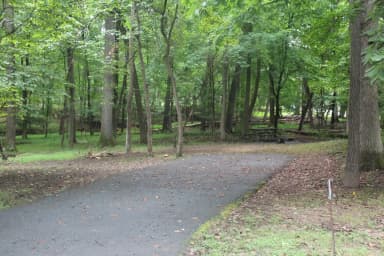 Greenbelt Park Campground Site 115