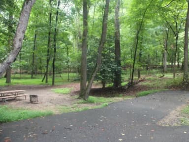 Greenbelt Park Campground Site 117