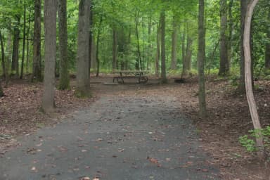 D 118  D Loop of the Greenbelt Park Md campground