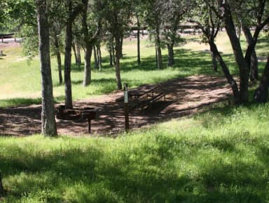 Manzanita Sites 70-93 · Site 080 at Tuttletown Recreation Area