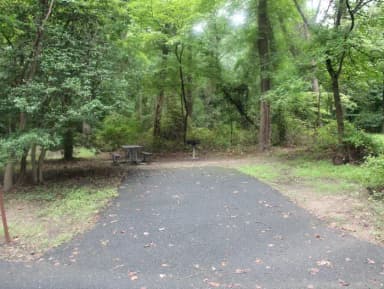 D 124  D Loop of the Greenbelt Park Md campground