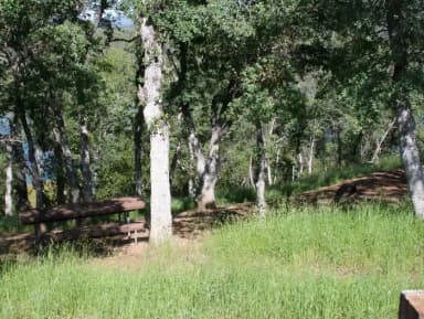 Manzanita Sites 70-93 · Site 085 at Tuttletown Recreation Area