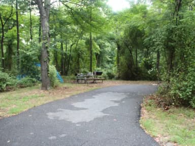 Greenbelt Park Campground Site 133