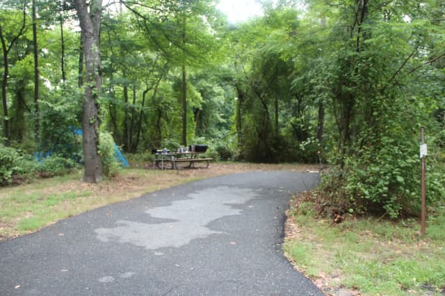 Greenbelt Park Campground Site 133