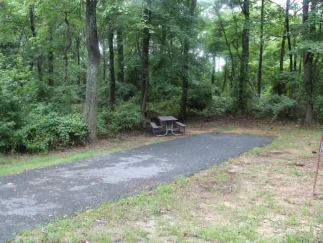 D 132 D Loop of the Greenbelt Park Maryland campground