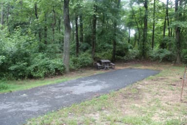 D 132 D Loop of the Greenbelt Park Md campground