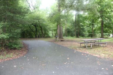 Greenbelt Park Campground Site 135