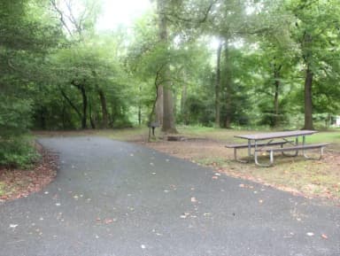 Greenbelt Park Campground Site 135