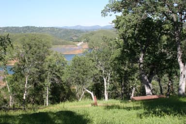 Manzanita Sites 70-93 · Site 088 at Tuttletown Recreation Area