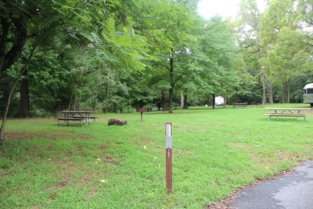 D 135 D Loop of the Greenbelt Park Md campground (Former Site 137)