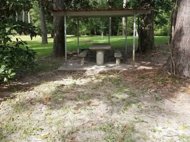 Loop SCRE · Site 01 at Sandy Creek