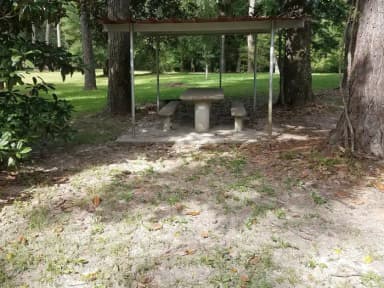 Loop SCRE · Site 01 at Sandy Creek