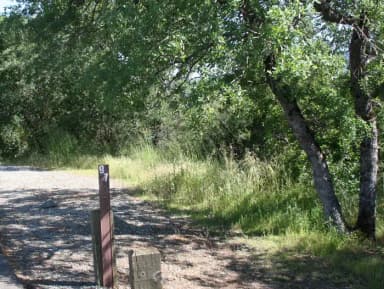 Manzanita Sites 94-125 · Site 097 at Tuttletown Recreation Area