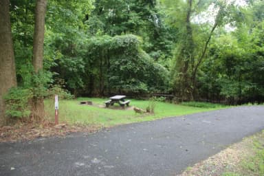 D141 D Loop of the Greenbelt Park Maryland campground