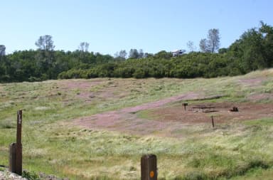 Manzanita Sites 94-125 · Site 112 at Tuttletown Recreation Area