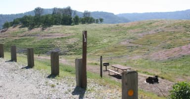 Manzanita Sites 94-125 · Site 113 at Tuttletown Recreation Area