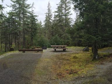 Site 050 at Mendenhall Campground