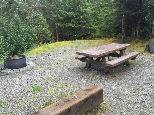 Site 050 at Mendenhall Campground