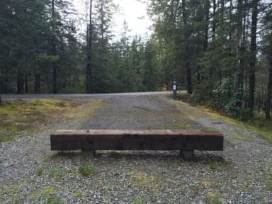 Site 050 at Mendenhall Campground