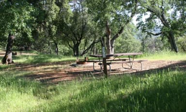 Chamise Sites 126-144 · Site 131 at Tuttletown Recreation Area