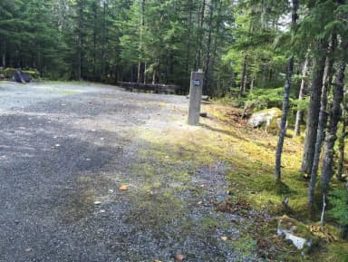 Site 056 at Mendenhall Campground