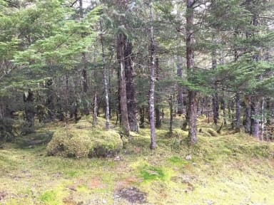 Site 058 at Mendenhall Campground