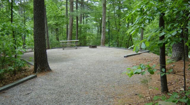 Site 17