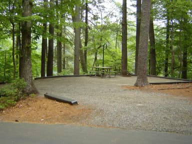 Site 18