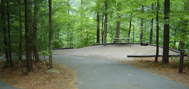 Site 19