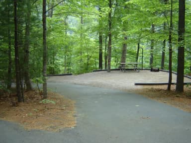 Site 19