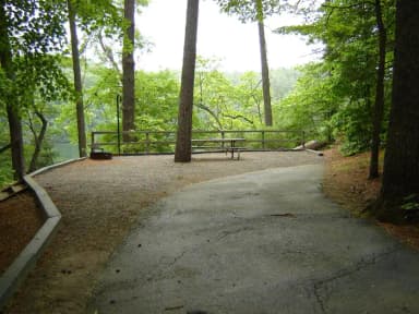 Site 20