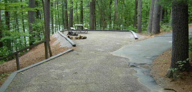 Site 23