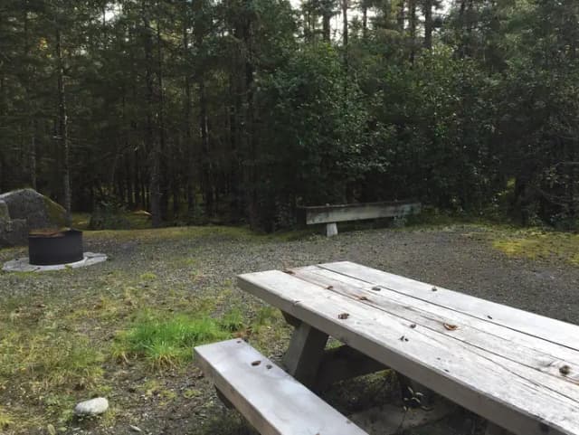 Site 059 at Mendenhall Campground