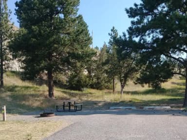 Site 006 at Court Sheriff Campground