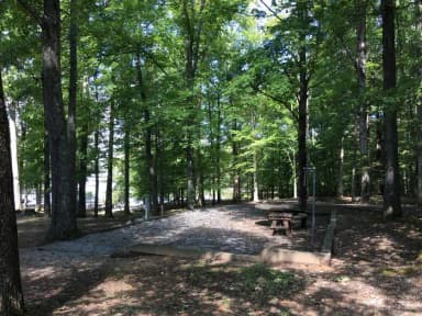 Loop BMIL · Site 19 at Bumpus Mills