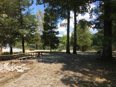 Loop BMIL · Site 25 at Bumpus Mills