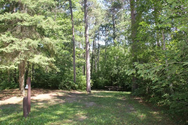 Site 4