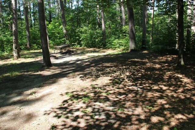 Site 1