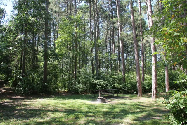 Site 3