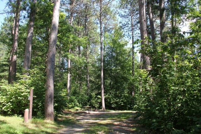 SIte 6